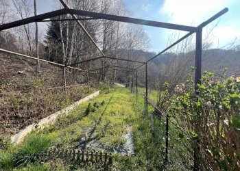 Casa indipendente Andrate - foto 4