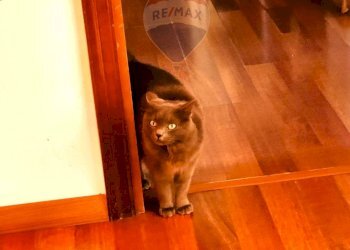 Trilocale Frattamaggiore - foto 10