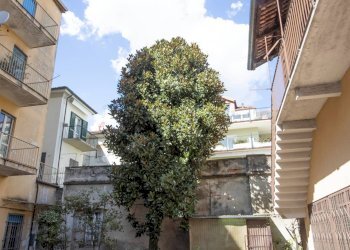 Stabile - Palazzo Via Del Collegio, Chivasso - foto 4