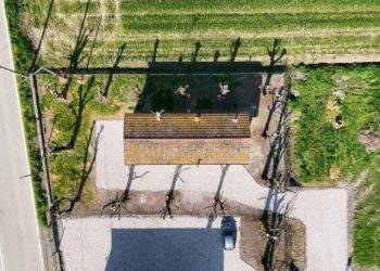 Casa indipendente Molinella - foto 8