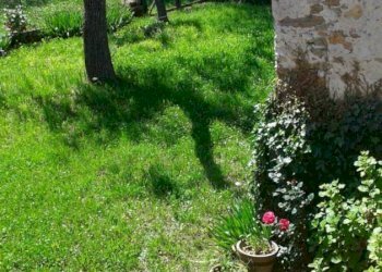 Apartment Battifollo - photo 13