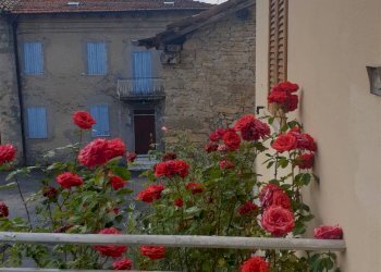 Independent house Carpineti - photo 5