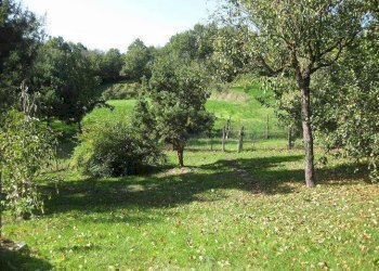 Independent house Carpineti - photo 17