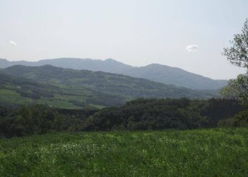 Independent house Carpineti - photo 18