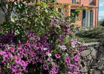 Quadrilocale via Delle Ferriere, Savona - foto 22