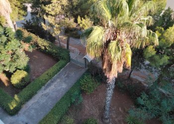 Quadrilocale Circonvallazione Dei Fiori, Taranto - foto 28