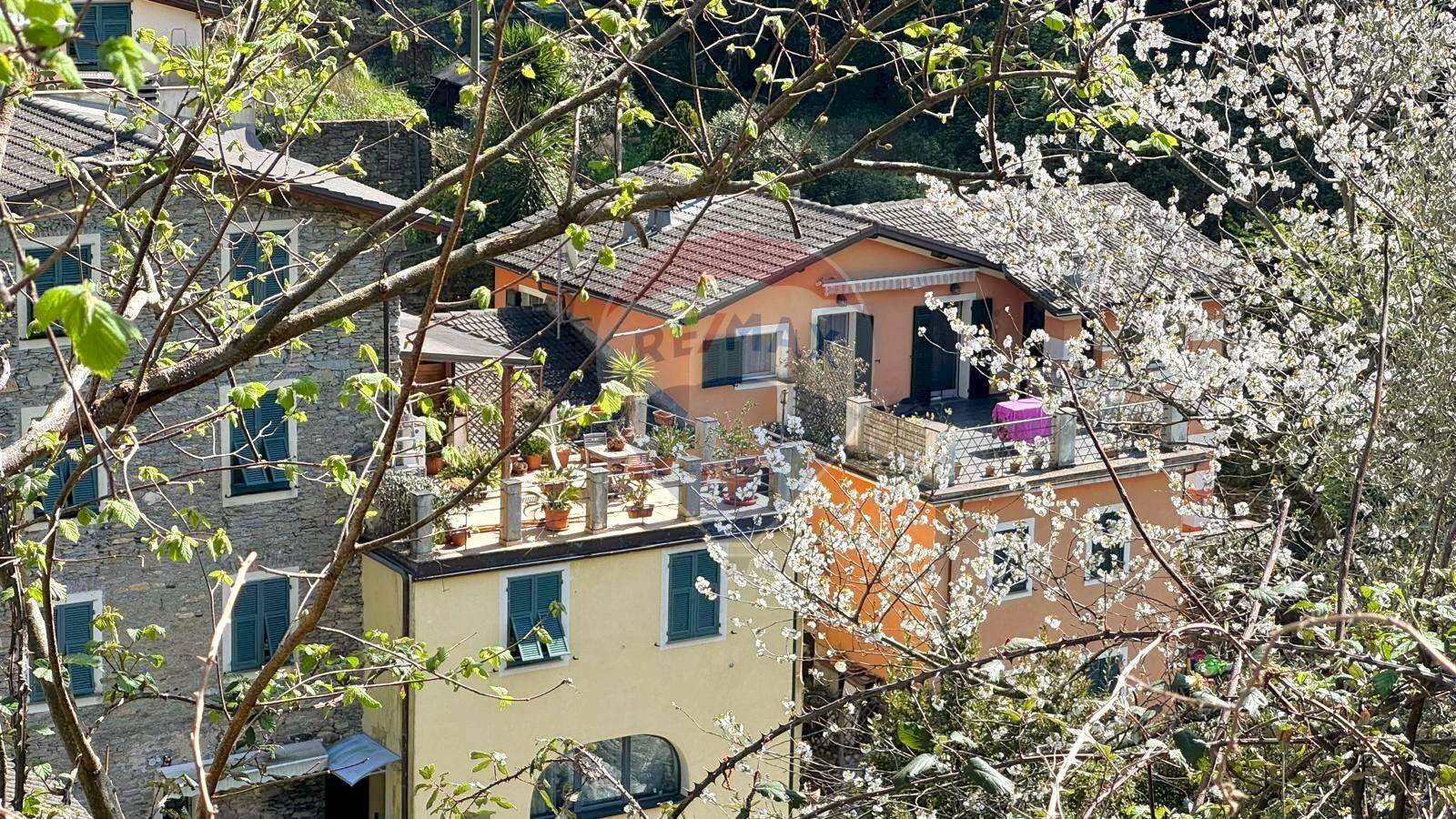 One-room apartment Passo Selvatico, 1 
 Avegno, Avegno - photo 2