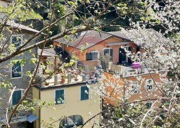 One-room apartment Passo Selvatico, 1 
 Avegno, Avegno - photo 2