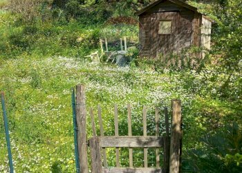 One-room apartment Passo Selvatico, 1 
 Avegno, Avegno - photo 28