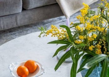 Dettagli - Villa Diano Marina - foto 26