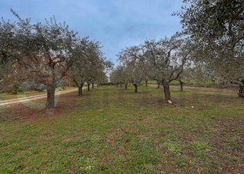 Casa indipendente Via per la stazione di Aquino, Castrocielo - foto 7