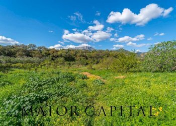 Independent house Loc. Artucanu, Siniscola - photo 28