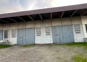 Capannone Via dell'industria, Castelfranco Emilia - foto 2