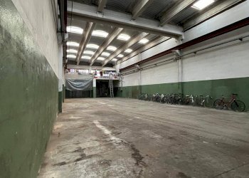 Capannone Via dell'industria, Castelfranco Emilia - foto 3