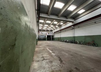 Capannone Via dell'industria, Castelfranco Emilia - foto 4