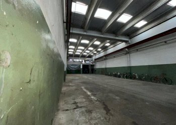 Capannone Via dell'industria, Castelfranco Emilia - foto 5