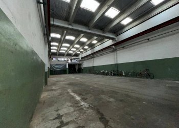 Capannone Via dell'industria, Castelfranco Emilia - foto 6