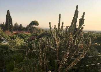 Bilocale Via Vittorio Emanuele, Pontecagnano Faiano - foto 13