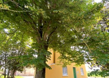 Villa Unifamiliare Via Canalazzi, Ferrara (zona Corlo) - foto 25