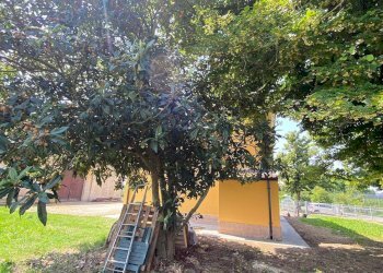 Villa Unifamiliare Via Canalazzi, Ferrara (zona Corlo) - foto 27