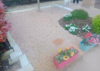 Giardino - Three-room apartment via San Geminiano, San Prospero - photo 21