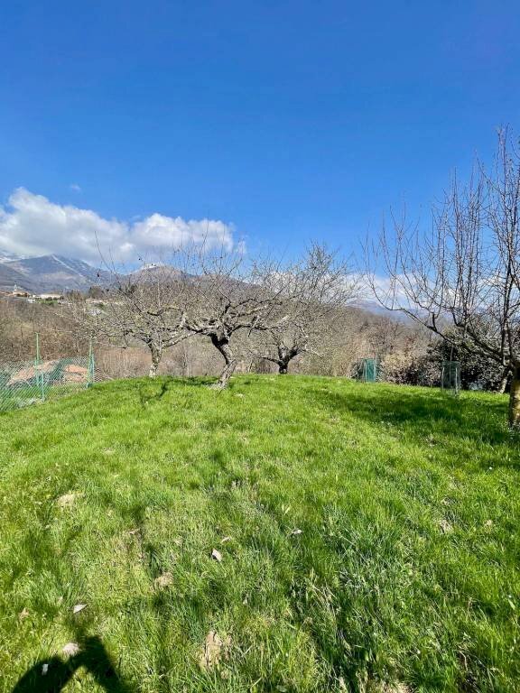 Giardino - Villa strada Cantone Pezza, 30/32, Biella - photo 3