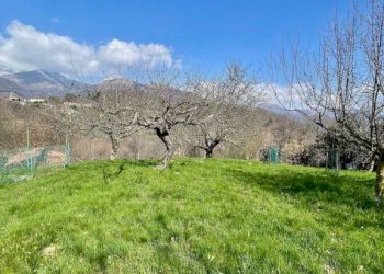 Giardino - Villa strada Cantone Pezza, 30/32, Biella - foto 3