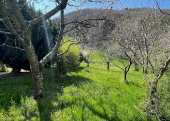 Terreno - Villa strada Cantone Pezza, 30/32, Biella - foto 43