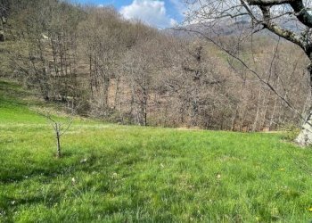 Terreno - Villa strada Cantone Pezza, 30/32, Biella - foto 48