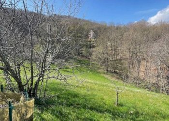 Terreno - Villa strada Cantone Pezza, 30/32, Biella - foto 49