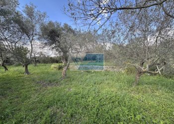 Quadrilocale CONTRADA PORCARI, Noto - foto 7