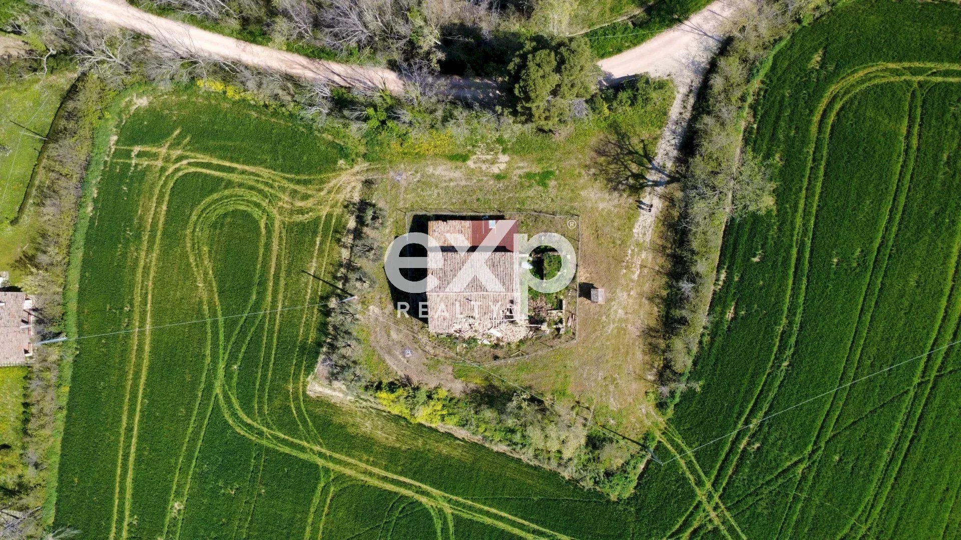 Casale Via San Filippo snc, Terre Roveresche - foto 3