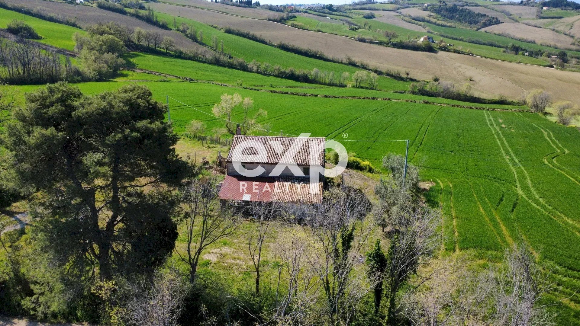 Casale Via San Filippo snc, Terre Roveresche - foto 2