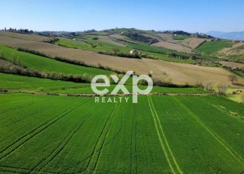 Casale Via San Filippo snc, Terre Roveresche - foto 10