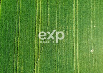 Casale Via San Filippo snc, Terre Roveresche - foto 17