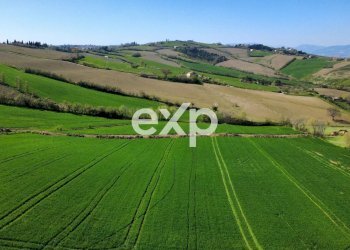 Casale Via San Filippo snc, Terre Roveresche - photo 10