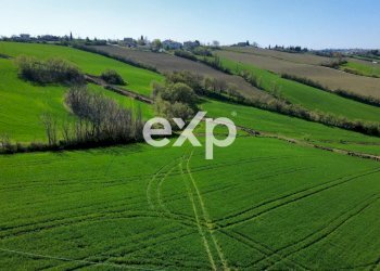 Casale Via San Filippo snc, Terre Roveresche - photo 11