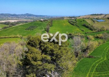 Casale Via San Filippo snc, Terre Roveresche - photo 13