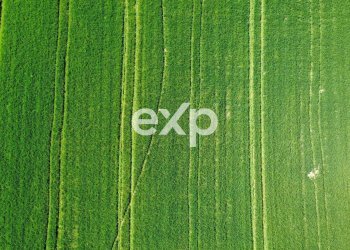 Casale Via San Filippo snc, Terre Roveresche - photo 17