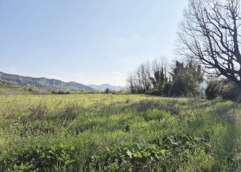 Villa Bologna (zona Colli) - foto 46