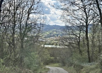 Villa Bologna (zona Colli) - foto 34