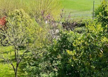 Villa Bologna (zona Colli) - foto 33