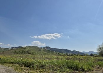 Villa Bologna (zona Colli) - foto 47