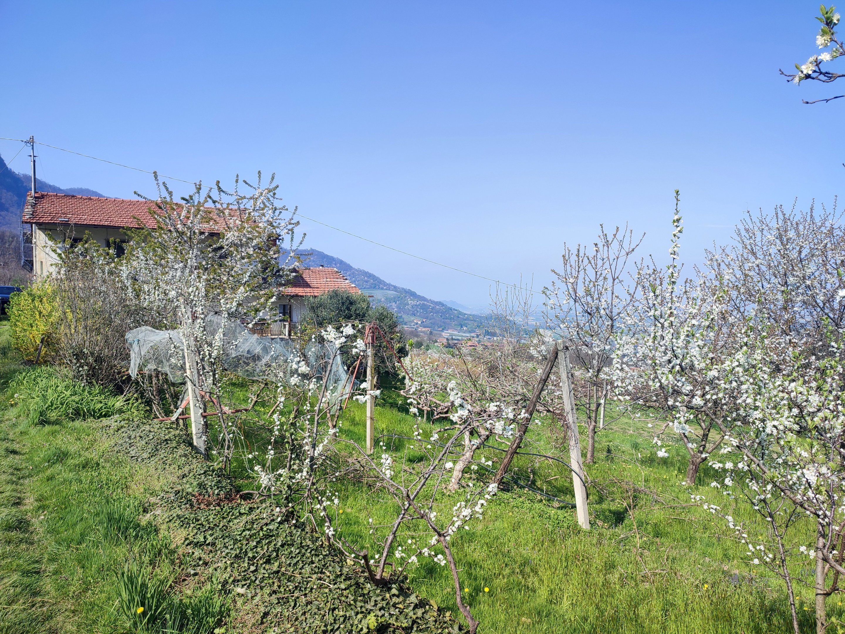 Casa indipendente Via Sasia, Envie - foto 2