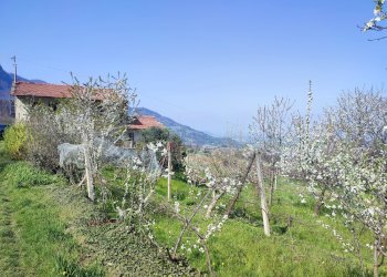 Casa indipendente Via Sasia, Envie - foto 2