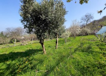 Casa indipendente Via Sasia, Envie - foto 27