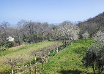 Casa indipendente Via Sasia, Envie - foto 31