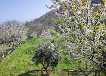 Casa indipendente Via Sasia, Envie - foto 6