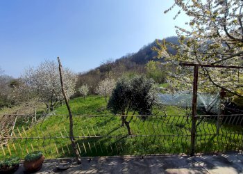 Casa indipendente Via Sasia, Envie - foto 35