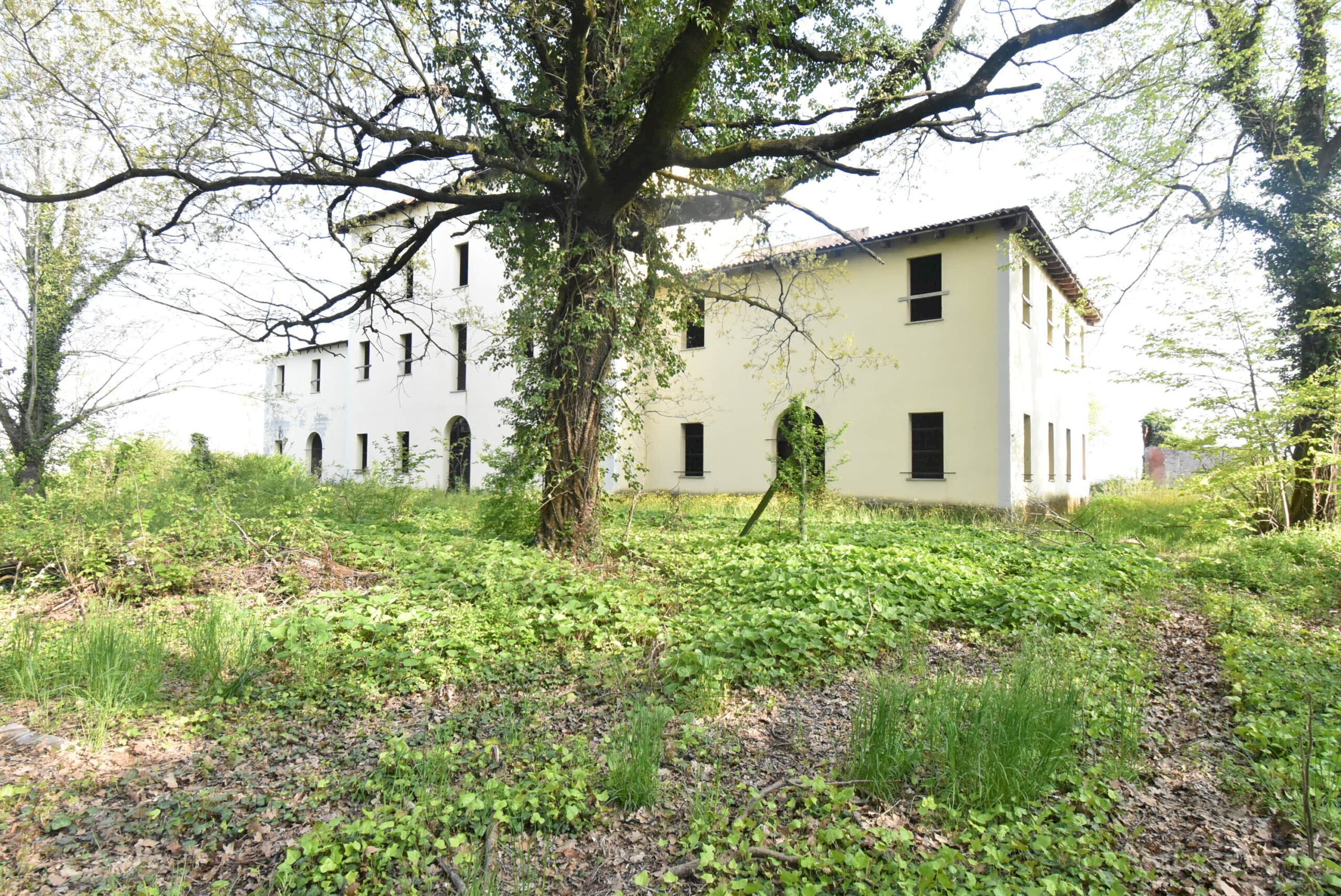 Villa Castelfranco Emilia - foto 2